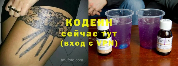 индика Надым