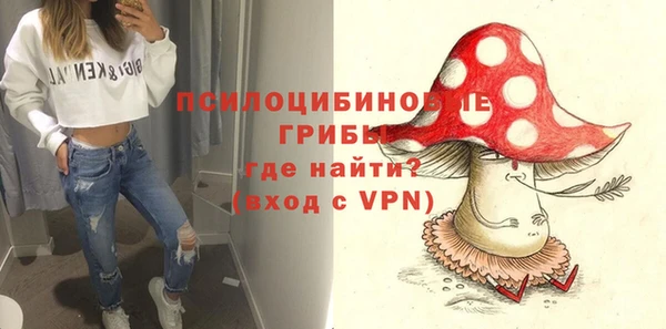 молекула духа Нея