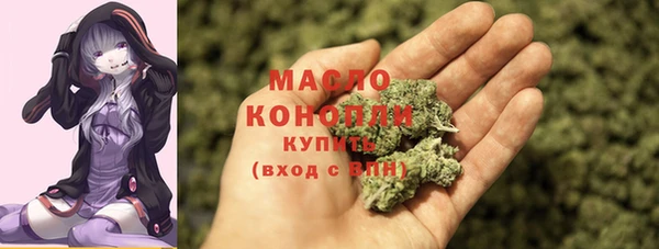 индика Надым