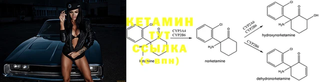 индика Надым