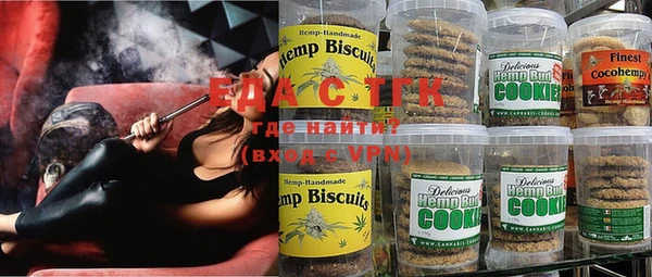 индика Надым