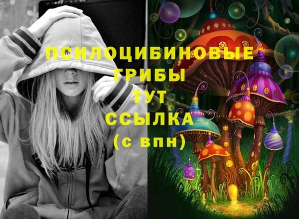 гидра Навашино