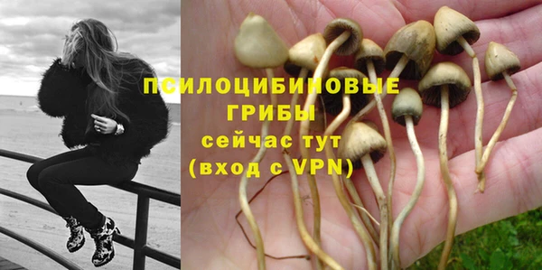 гидра Навашино