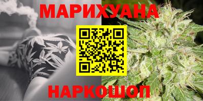 эйфоретик Гай