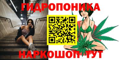 эйфоретик Гай