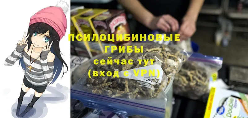 ОМГ ОМГ   Кумертау  Псилоцибиновые грибы Psilocybine cubensis 